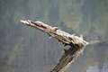 DSC05024 - Bernhard Saalfeld