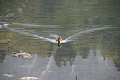 DSC05027 - Bernhard Saalfeld