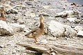 DSC05028 - Bernhard Saalfeld