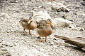 DSC05029 - Bernhard Saalfeld