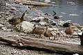 DSC05033 - Bernhard Saalfeld