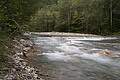 DSC05045 - Bernhard Saalfeld