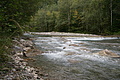 DSC05047 - Bernhard Saalfeld