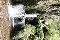 DSC05055 - Bernhard Saalfeld