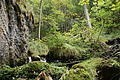 DSC05058 - Bernhard Saalfeld