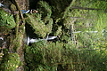 DSC05061 - Bernhard Saalfeld