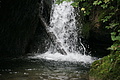 DSC05066 - Bernhard Saalfeld