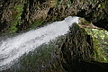 DSC05071 - Bernhard Saalfeld