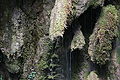 DSC05073 - Bernhard Saalfeld