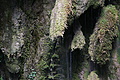 DSC05075 - Bernhard Saalfeld