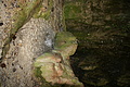 DSC05078 - Bernhard Saalfeld