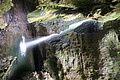 DSC05080 - Bernhard Saalfeld