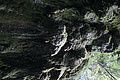 DSC05084 - Bernhard Saalfeld