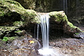 DSC05089 - Bernhard Saalfeld