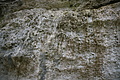 DSC05092 - Bernhard Saalfeld