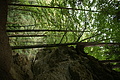 DSC05094 - Bernhard Saalfeld