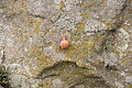 DSC05099 - Bernhard Saalfeld