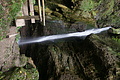 DSC05102 - Bernhard Saalfeld
