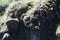 DSC05104 - Bernhard Saalfeld