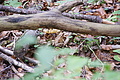 DSC05107 - Bernhard Saalfeld