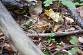 DSC05108 - Bernhard Saalfeld
