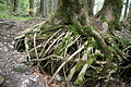 DSC05110 - Bernhard Saalfeld