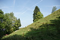 DSC05114 - Bernhard Saalfeld