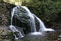DSC05117 - Bernhard Saalfeld