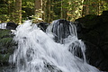 DSC05123 - Bernhard Saalfeld
