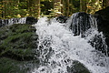 DSC05124 - Bernhard Saalfeld