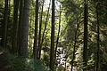 DSC05125 - Bernhard Saalfeld