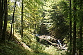 DSC05126 - Bernhard Saalfeld