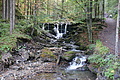 DSC05130 - Bernhard Saalfeld