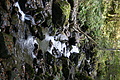 DSC05132 - Bernhard Saalfeld