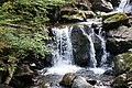 DSC05133 - Bernhard Saalfeld