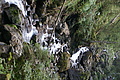 DSC05135 - Bernhard Saalfeld