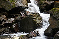 DSC05136 - Bernhard Saalfeld