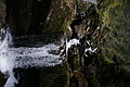 DSC05139 - Bernhard Saalfeld