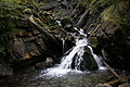 DSC05140 - Bernhard Saalfeld