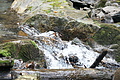 DSC05142 - Bernhard Saalfeld