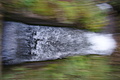 DSC05148 - Bernhard Saalfeld