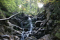 DSC05149 - Bernhard Saalfeld
