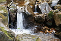 DSC05156 - Bernhard Saalfeld
