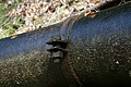 DSC05158 - Bernhard Saalfeld