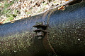 DSC05159 - Bernhard Saalfeld