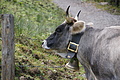 DSC05163 - Bernhard Saalfeld
