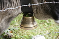 DSC05164 - Bernhard Saalfeld