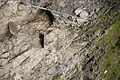 DSC05170 - Bernhard Saalfeld