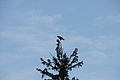 DSC05175 - Bernhard Saalfeld