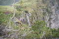 DSC05196 - Bernhard Saalfeld